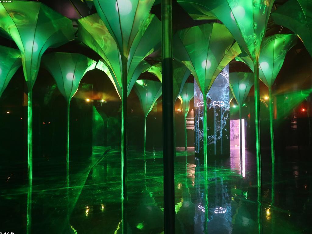 ទស្សន៍ទាយនៃល្បែងល្បីនៅកាស៊ីណូអនឡាញ